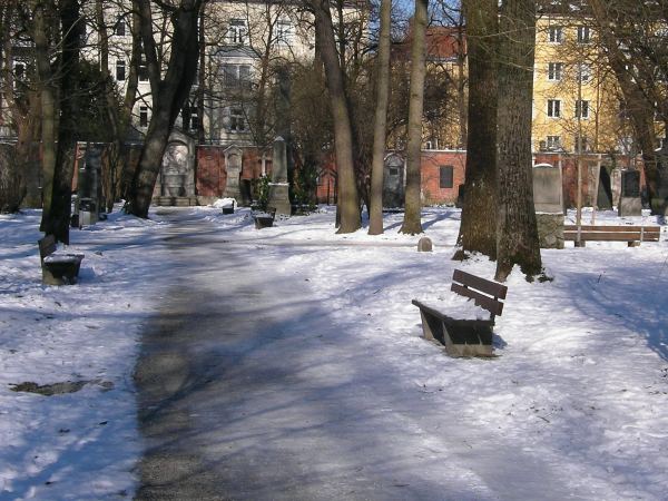 Winterweg im Alten Friedhof