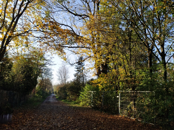 Foto aus Eggarten für Standpunkte-Artikel